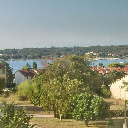 Delfin Apartment Novigrad  Bagian luar foto