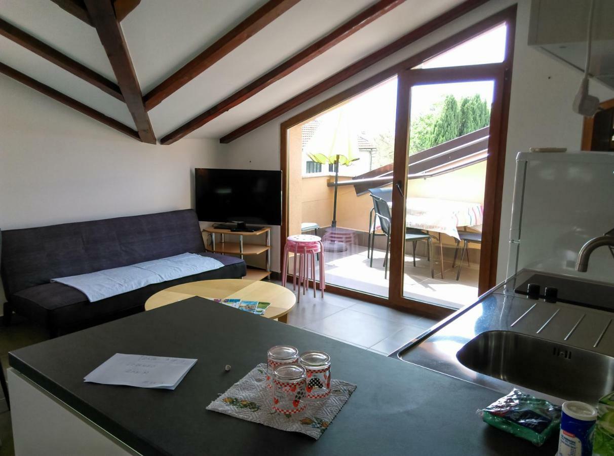 Delfin Apartment Novigrad  Bagian luar foto