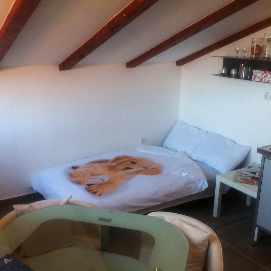 Delfin Apartment Novigrad  Bagian luar foto