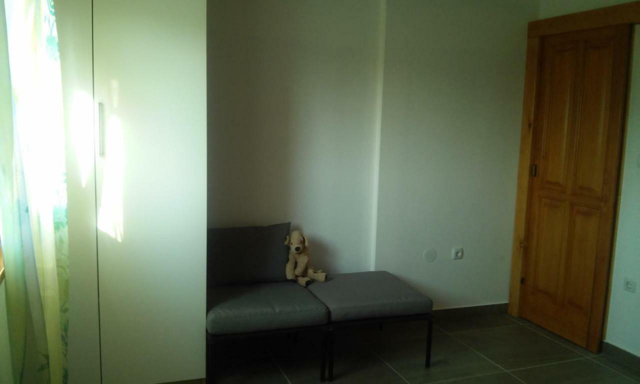 Delfin Apartment Novigrad  Bagian luar foto