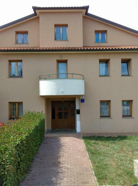 Delfin Apartment Novigrad  Bagian luar foto