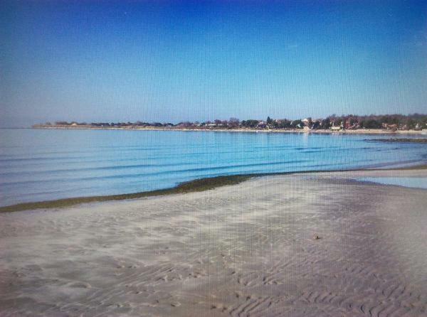 Delfin Apartment Novigrad  Bagian luar foto