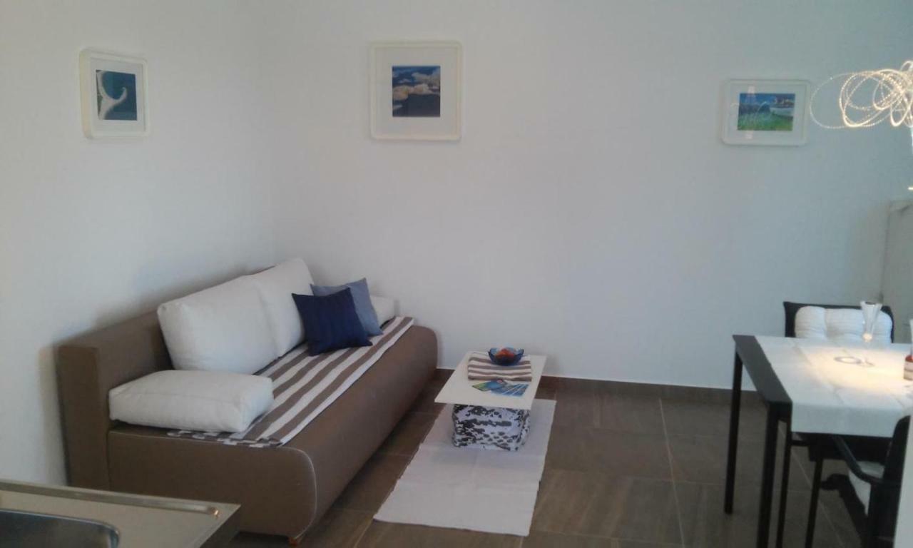 Delfin Apartment Novigrad  Bagian luar foto