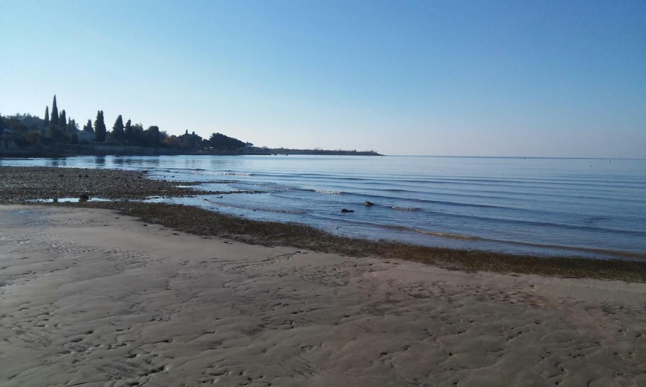 Delfin Apartment Novigrad  Bagian luar foto