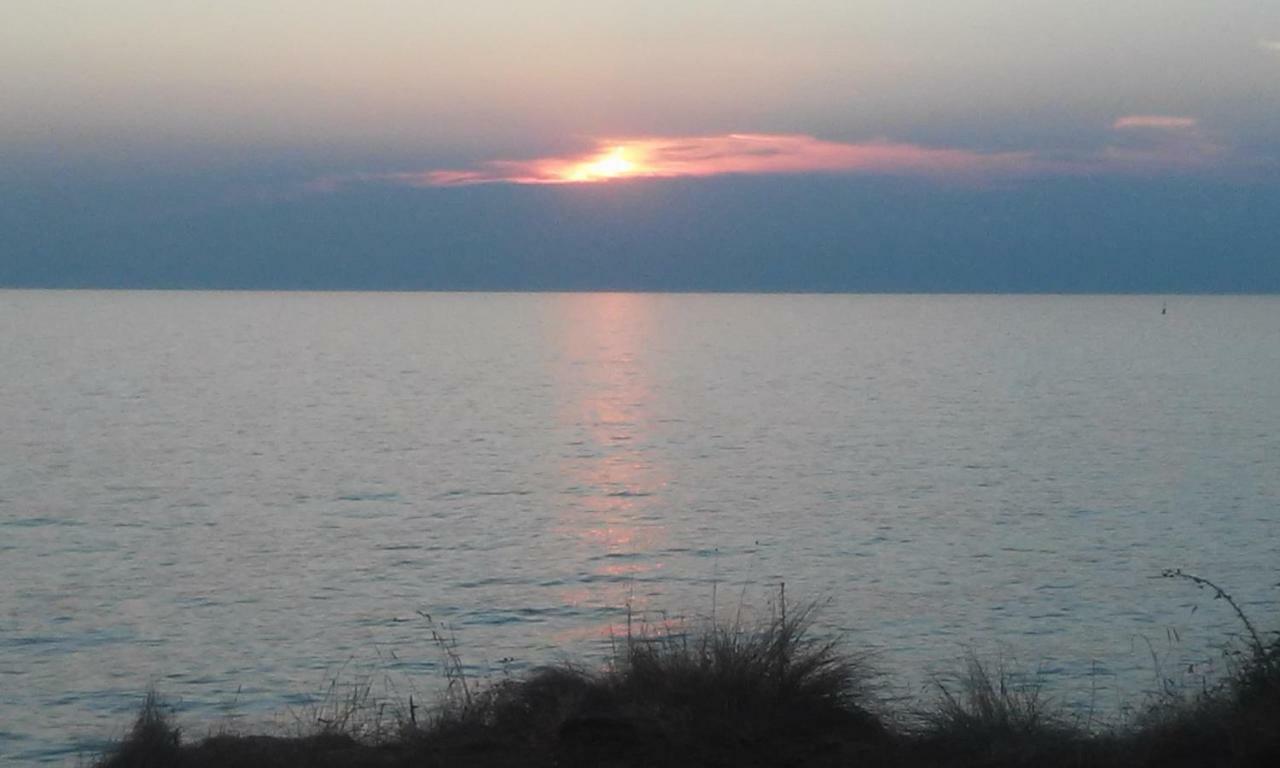 Delfin Apartment Novigrad  Bagian luar foto