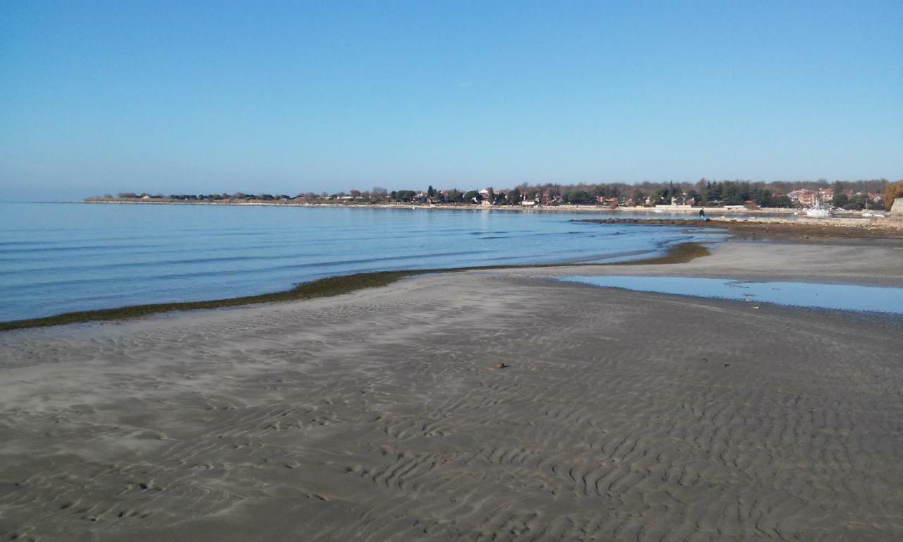 Delfin Apartment Novigrad  Bagian luar foto