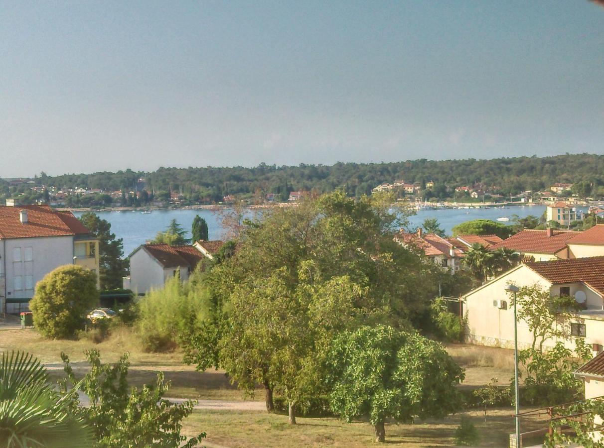 Delfin Apartment Novigrad  Bagian luar foto